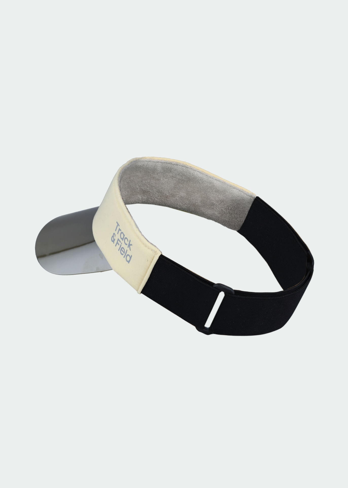 Holographic Visor