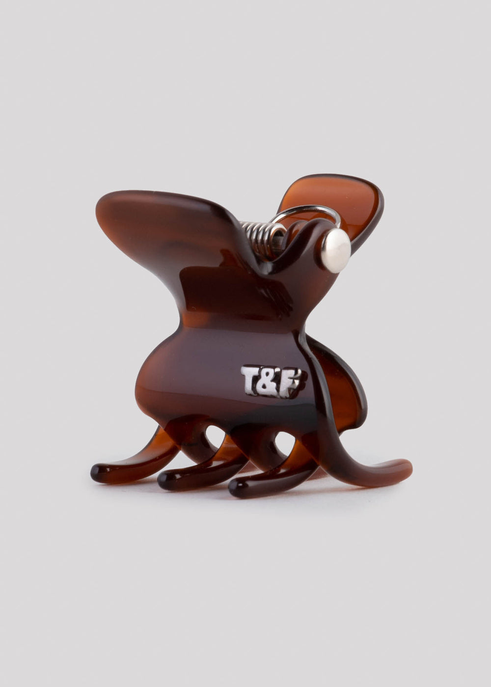 Mola Pequena Tartaruga